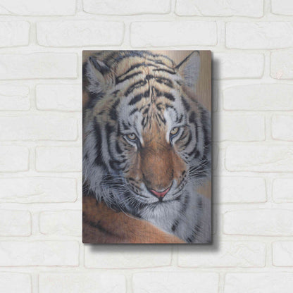 Luxe Metal Art 'Alexei' by Sam Dolman, Metal Wall Art,12x16