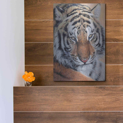 Luxe Metal Art 'Alexei' by Sam Dolman, Metal Wall Art,12x16