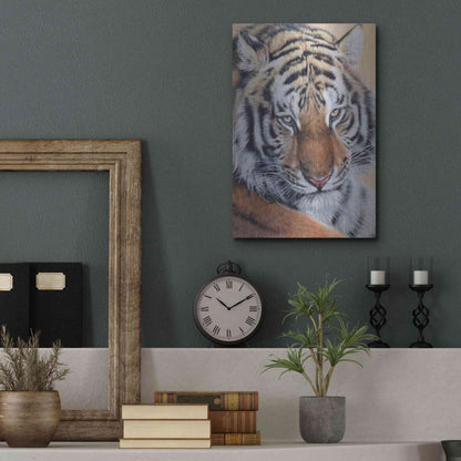 Luxe Metal Art 'Alexei' by Sam Dolman, Metal Wall Art,12x16