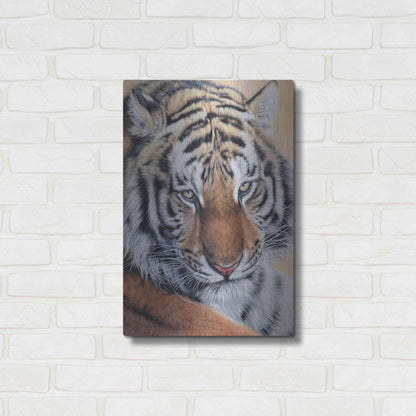 Luxe Metal Art 'Alexei' by Sam Dolman, Metal Wall Art,16x24