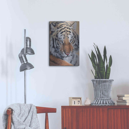 Luxe Metal Art 'Alexei' by Sam Dolman, Metal Wall Art,16x24