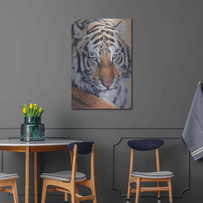 Luxe Metal Art 'Alexei' by Sam Dolman, Metal Wall Art,24x36