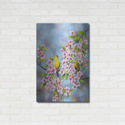 Luxe Metal Art 'Finches In Cherry Tree' by Sarah Davis, Metal Wall Art,24x36