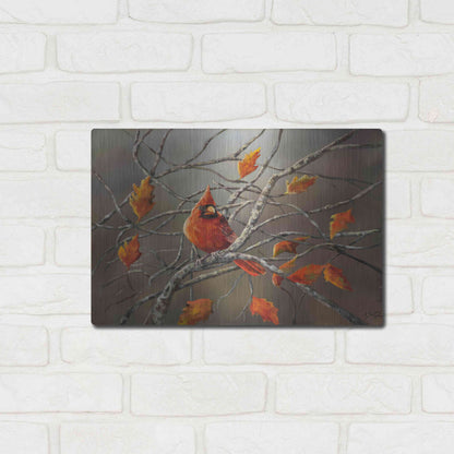 Luxe Metal Art 'Fall Cardinal' by Sarah Davis, Metal Wall Art,16x12