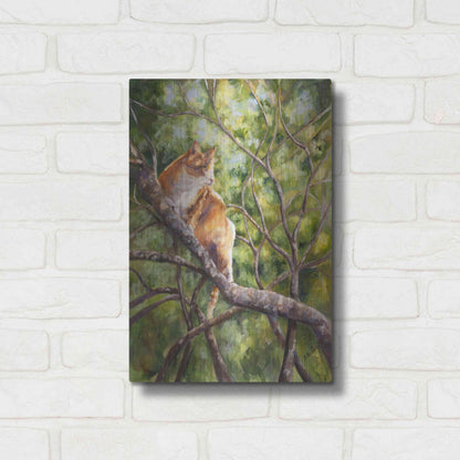 Luxe Metal Art 'Tiger' by Sarah Davis, Metal Wall Art,12x16