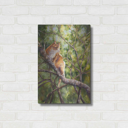 Luxe Metal Art 'Tiger' by Sarah Davis, Metal Wall Art,16x24