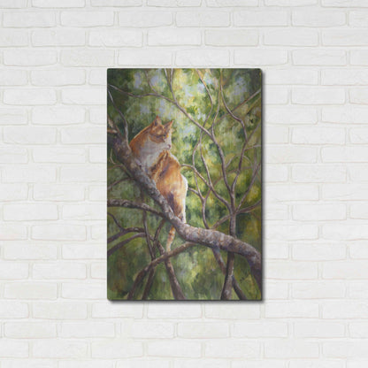 Luxe Metal Art 'Tiger' by Sarah Davis, Metal Wall Art,24x36