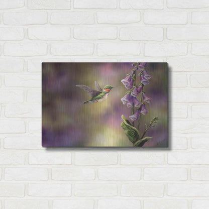 Luxe Metal Art 'Spring Hummingbird' by Sarah Davis, Metal Wall Art,24x16