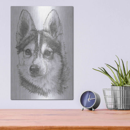 Luxe Metal Art 'Alaskan Klee Kai' by Barbara Keith, Metal Wall Art,12x16