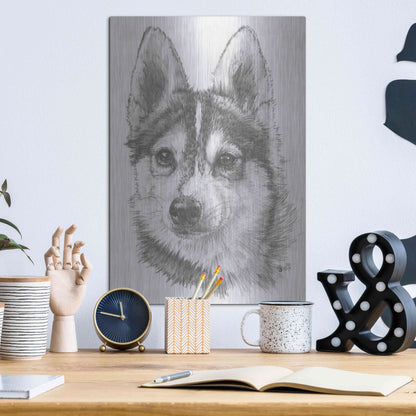 Luxe Metal Art 'Alaskan Klee Kai' by Barbara Keith, Metal Wall Art,12x16