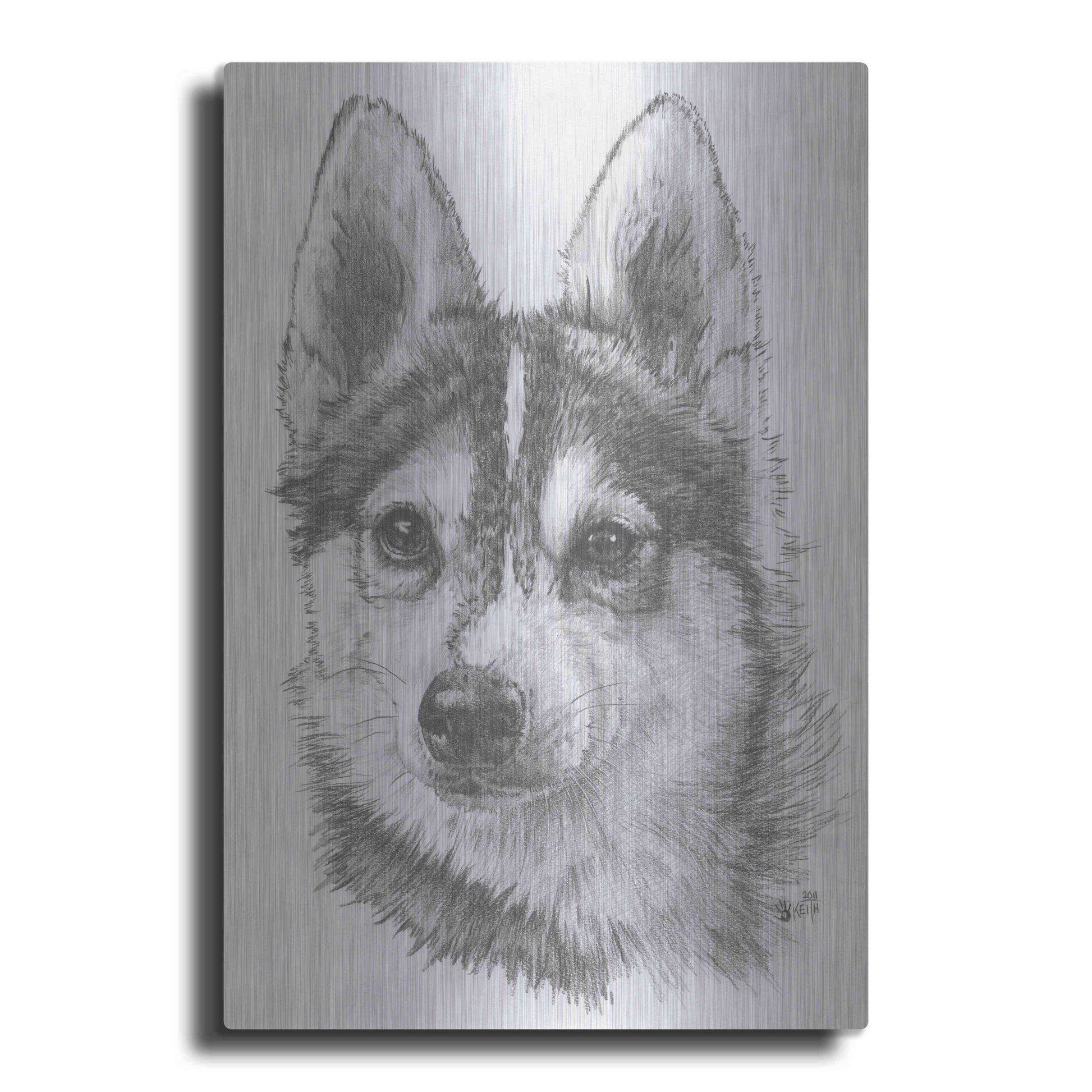 Luxe Metal Art 'Alaskan Klee Kai' by Barbara Keith, Metal Wall Art