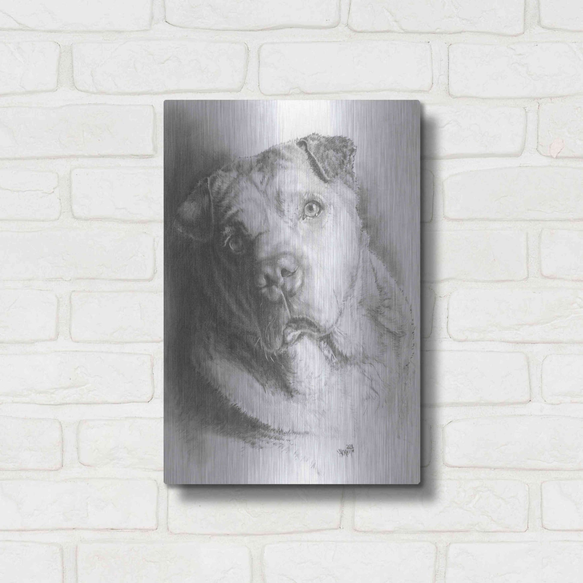 Luxe Metal Art 'Ori-Pei' by Barbara Keith, Metal Wall Art,12x16