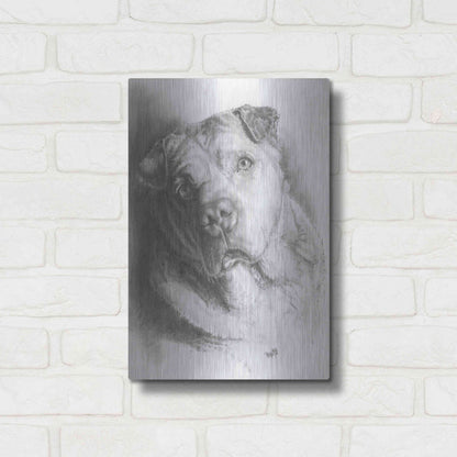 Luxe Metal Art 'Ori-Pei' by Barbara Keith, Metal Wall Art,12x16