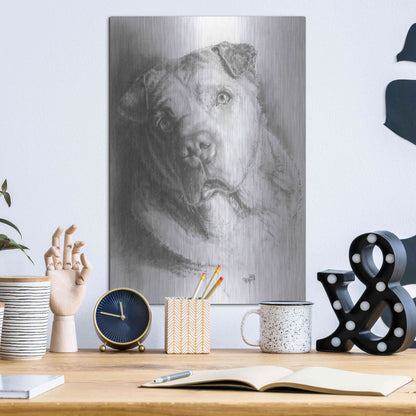 Luxe Metal Art 'Ori-Pei' by Barbara Keith, Metal Wall Art,12x16