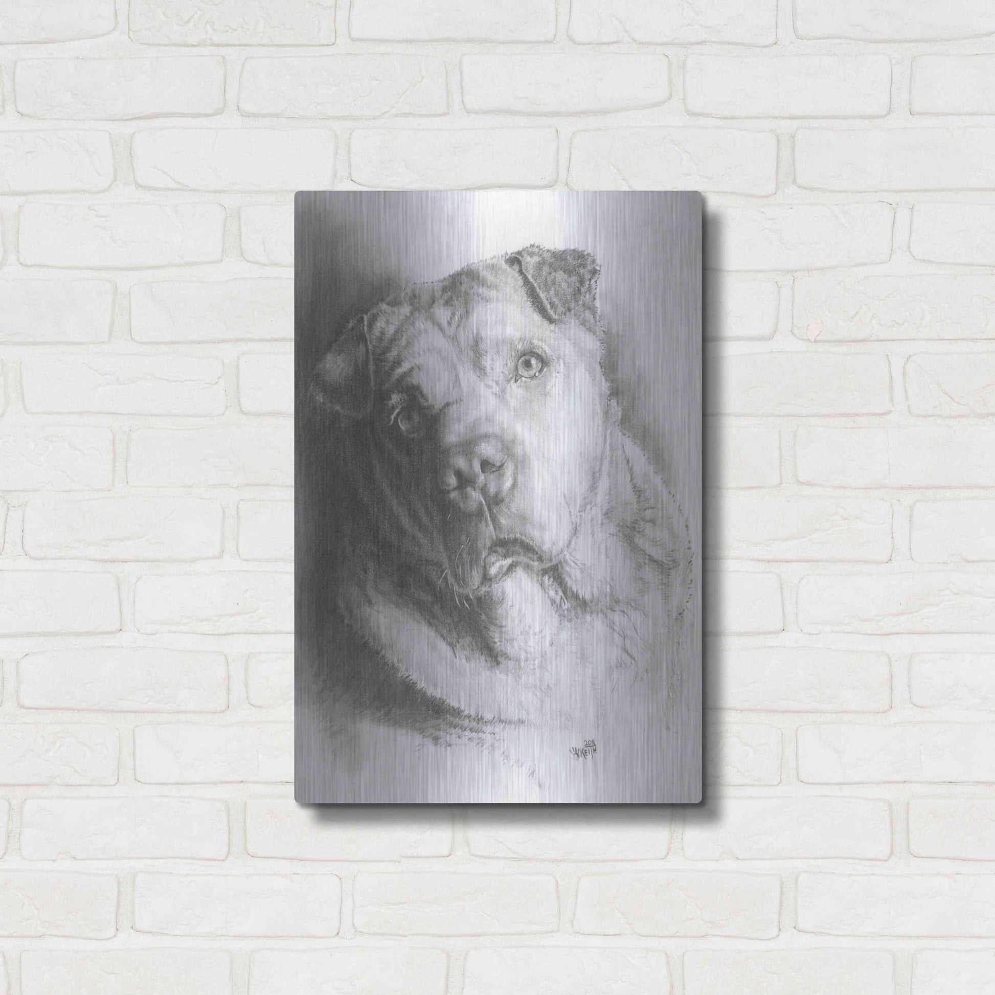 Luxe Metal Art 'Ori-Pei' by Barbara Keith, Metal Wall Art,16x24