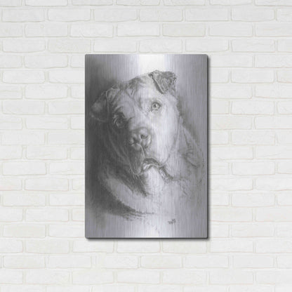 Luxe Metal Art 'Ori-Pei' by Barbara Keith, Metal Wall Art,24x36