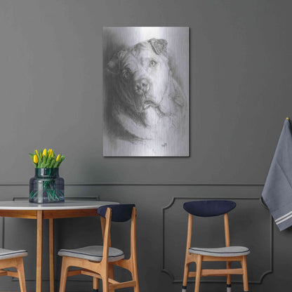 Luxe Metal Art 'Ori-Pei' by Barbara Keith, Metal Wall Art,24x36