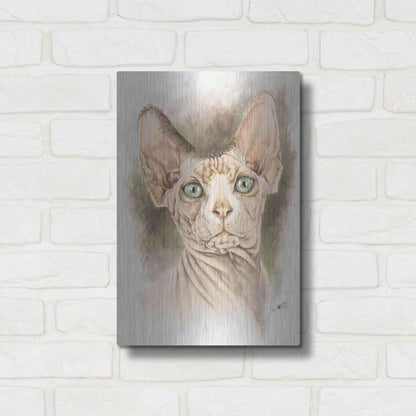 Luxe Metal Art 'Sphinx' by Barbara Keith, Metal Wall Art,12x16