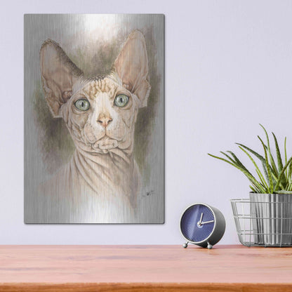 Luxe Metal Art 'Sphinx' by Barbara Keith, Metal Wall Art,12x16