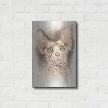 Luxe Metal Art 'Sphinx' by Barbara Keith, Metal Wall Art,16x24