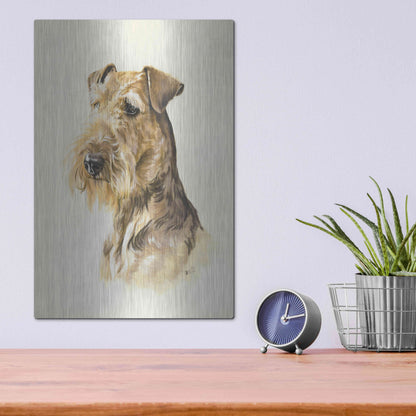 Luxe Metal Art 'Airedale' by Barbara Keith, Metal Wall Art,12x16