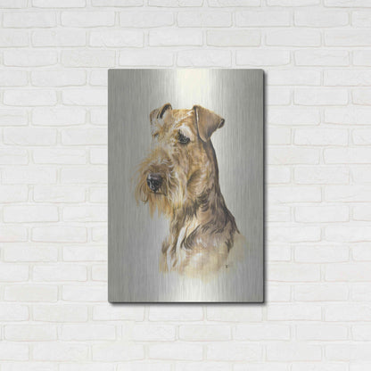 Luxe Metal Art 'Airedale' by Barbara Keith, Metal Wall Art,24x36