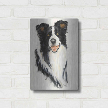 Luxe Metal Art 'Border Collie' by Barbara Keith, Metal Wall Art,12x16