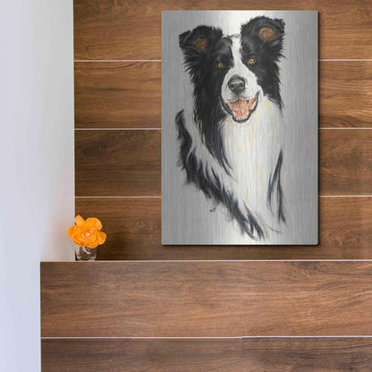 Luxe Metal Art 'Border Collie' by Barbara Keith, Metal Wall Art,12x16