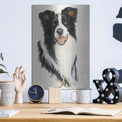 Luxe Metal Art 'Border Collie' by Barbara Keith, Metal Wall Art,12x16