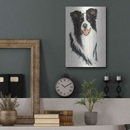 Luxe Metal Art 'Border Collie' by Barbara Keith, Metal Wall Art,12x16