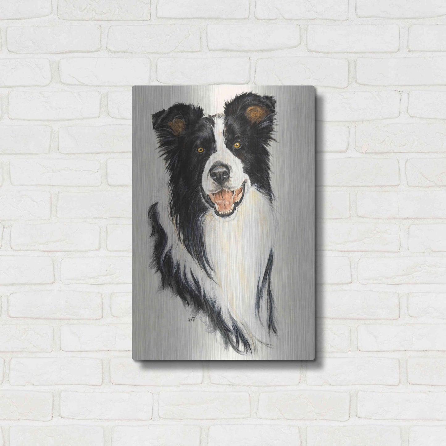Luxe Metal Art 'Border Collie' by Barbara Keith, Metal Wall Art,16x24