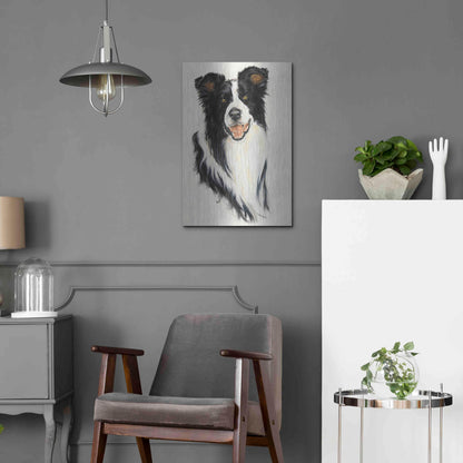 Luxe Metal Art 'Border Collie' by Barbara Keith, Metal Wall Art,16x24