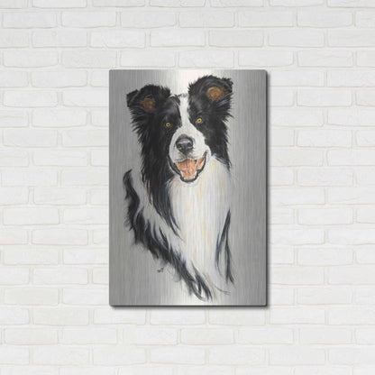 Luxe Metal Art 'Border Collie' by Barbara Keith, Metal Wall Art,24x36