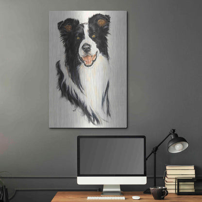 Luxe Metal Art 'Border Collie' by Barbara Keith, Metal Wall Art,24x36