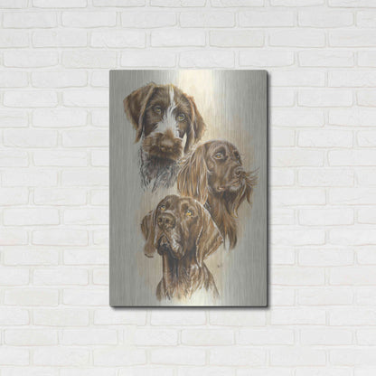 Luxe Metal Art 'German Pointers' by Barbara Keith, Metal Wall Art,24x36