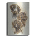 Luxe Metal Art 'German Pointers' by Barbara Keith, Metal Wall Art