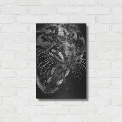 Luxe Metal Art 'Temper' by Barbara Keith, Metal Wall Art,16x24