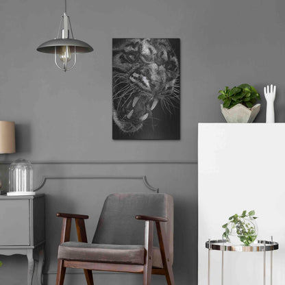 Luxe Metal Art 'Temper' by Barbara Keith, Metal Wall Art,16x24