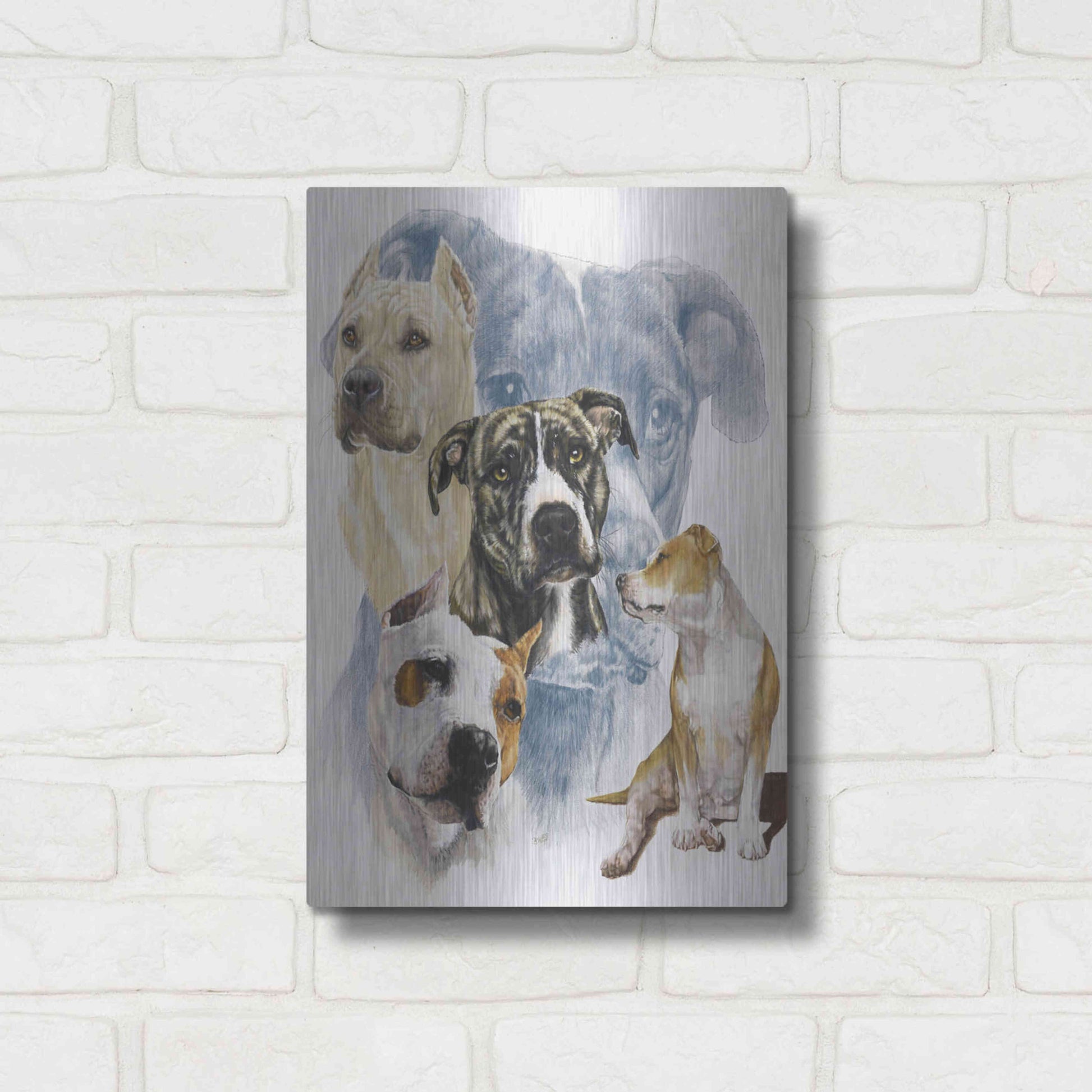 Luxe Metal Art 'American Staffordshire Terrier' by Barbara Keith, Metal Wall Art,12x16