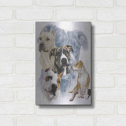 Luxe Metal Art 'American Staffordshire Terrier' by Barbara Keith, Metal Wall Art,12x16