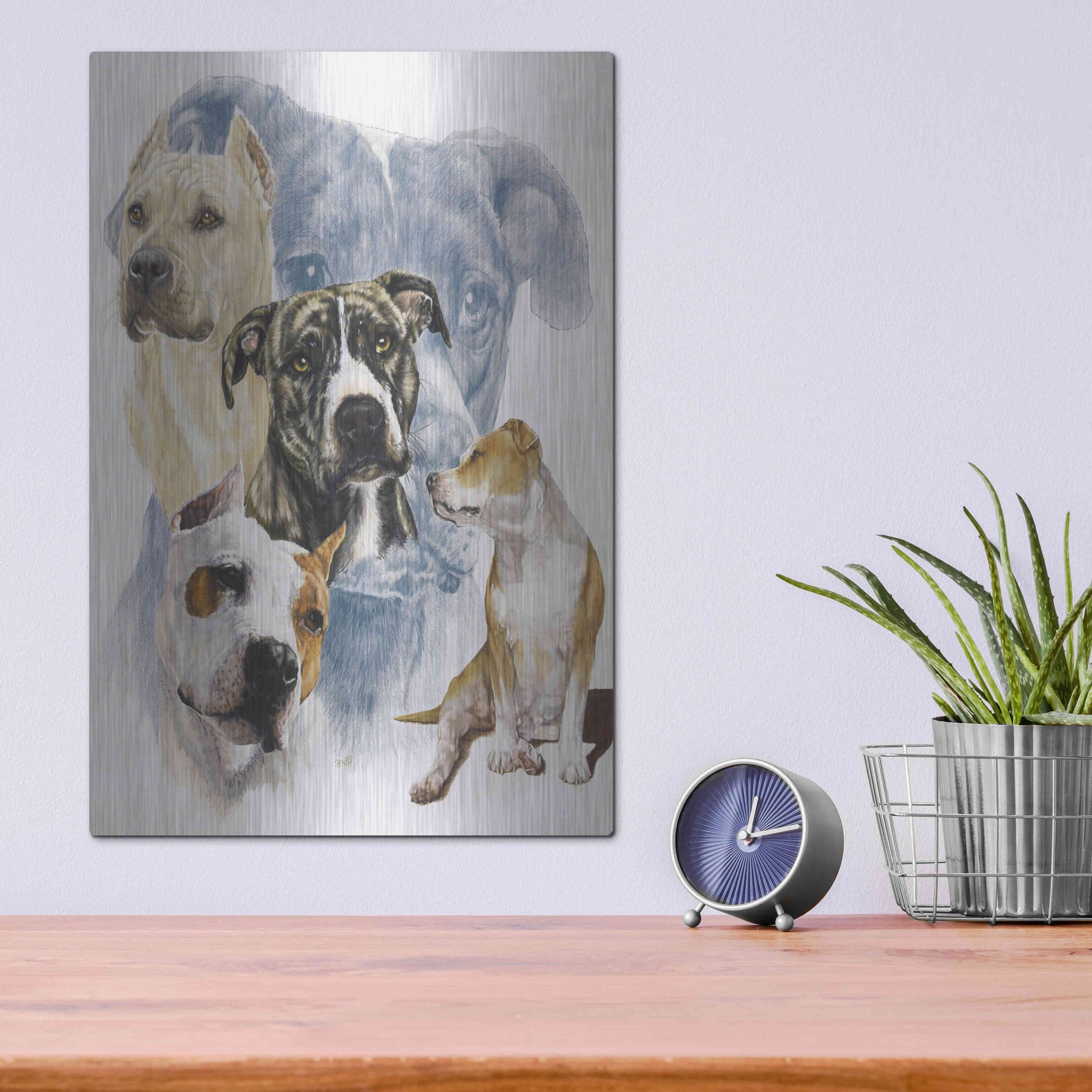 Luxe Metal Art 'American Staffordshire Terrier' by Barbara Keith, Metal Wall Art,12x16
