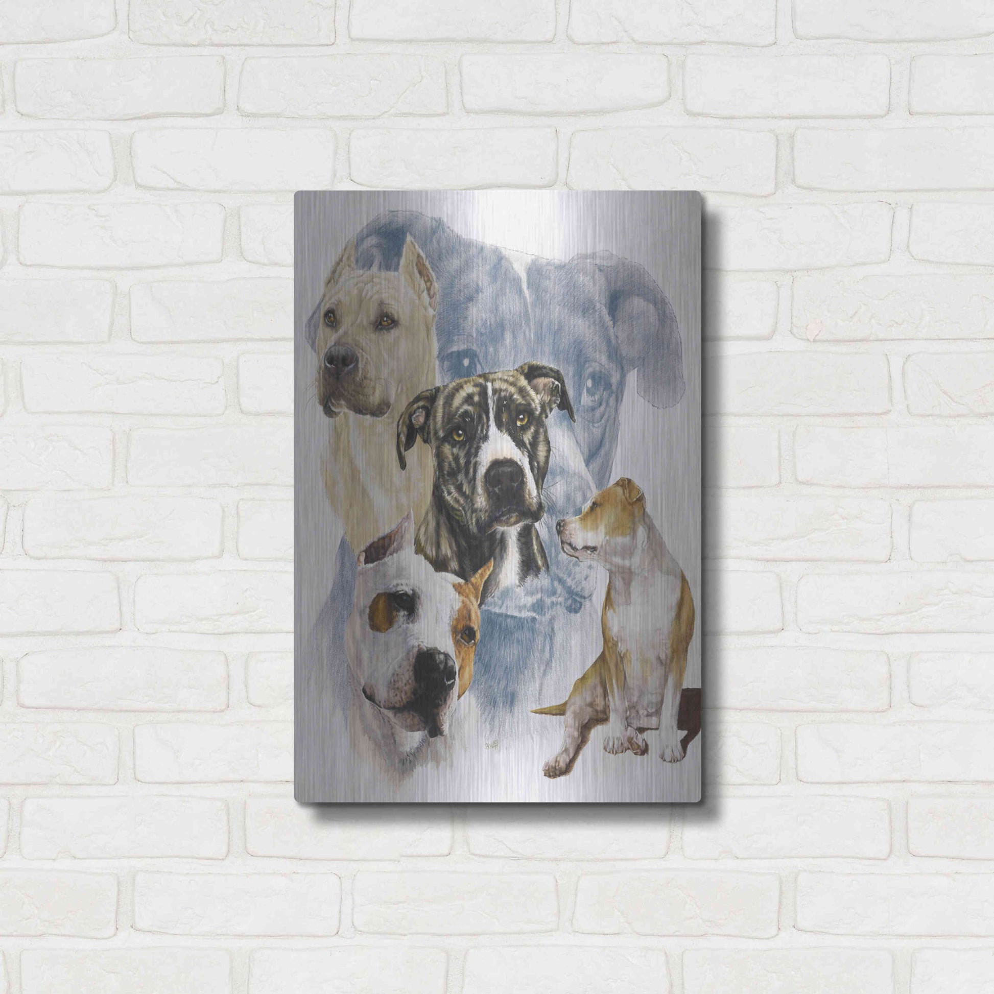 Luxe Metal Art 'American Staffordshire Terrier' by Barbara Keith, Metal Wall Art,16x24