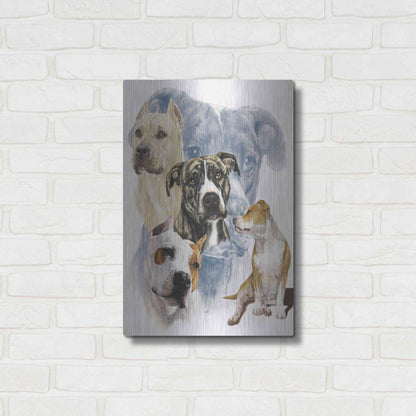 Luxe Metal Art 'American Staffordshire Terrier' by Barbara Keith, Metal Wall Art,16x24