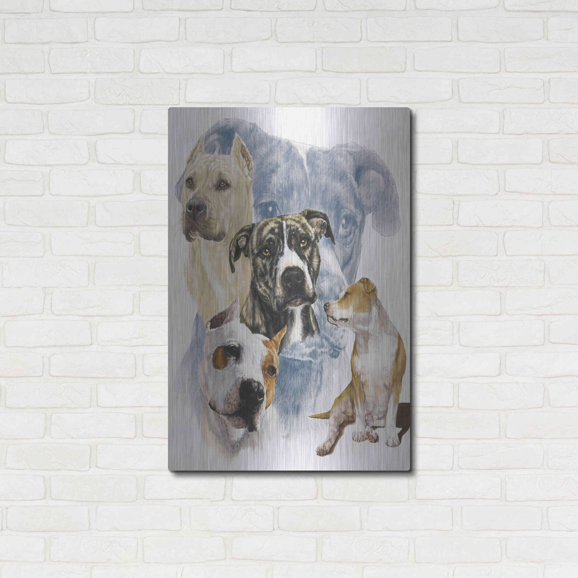 Luxe Metal Art 'American Staffordshire Terrier' by Barbara Keith, Metal Wall Art,24x36