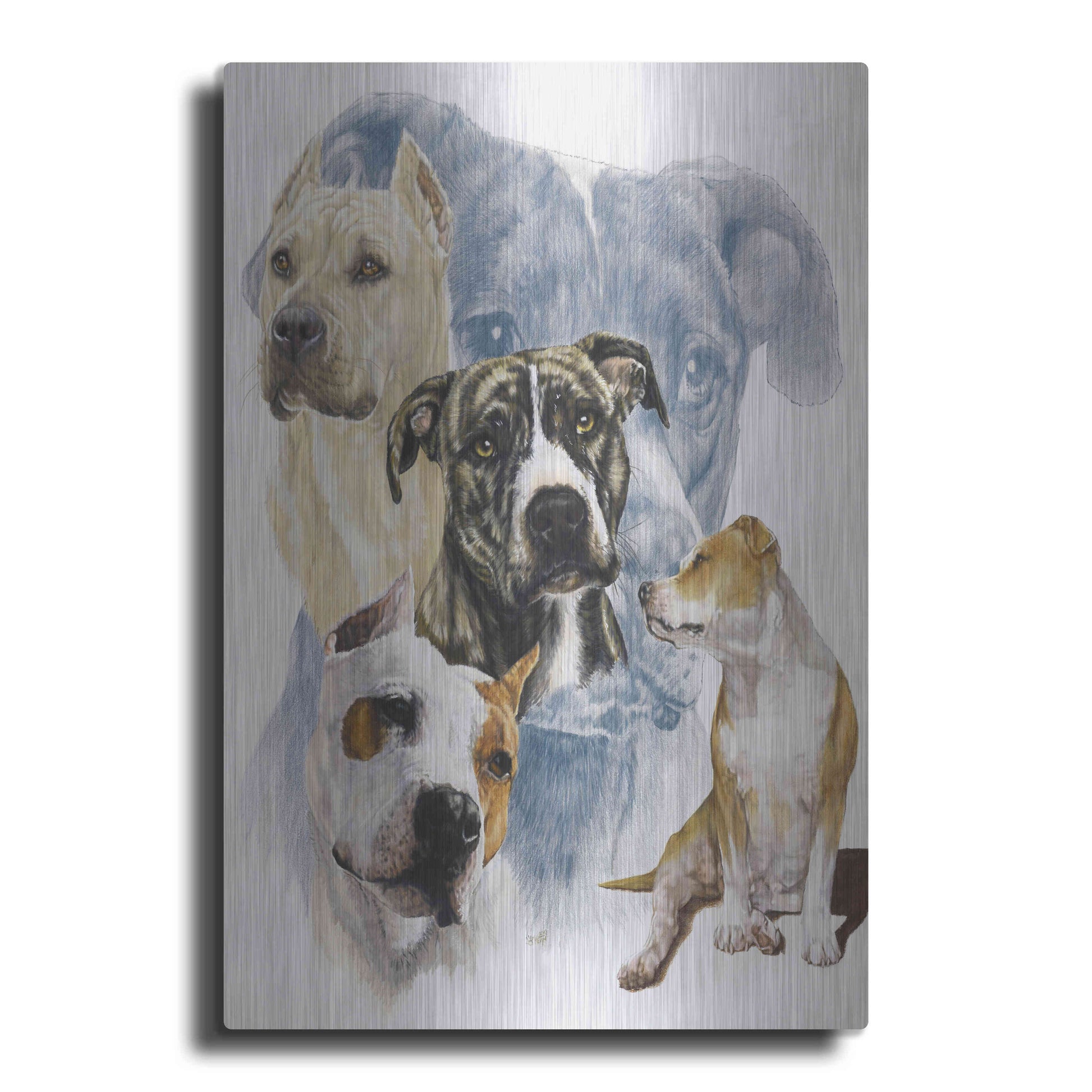 Luxe Metal Art 'American Staffordshire Terrier' by Barbara Keith, Metal Wall Art