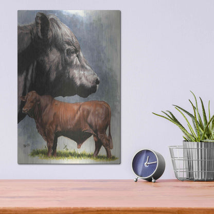 Luxe Metal Art 'Angus Cattle' by Barbara Keith, Metal Wall Art,12x16