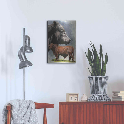 Luxe Metal Art 'Angus Cattle' by Barbara Keith, Metal Wall Art,16x24