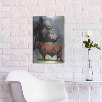 Luxe Metal Art 'Angus Cattle' by Barbara Keith, Metal Wall Art,16x24