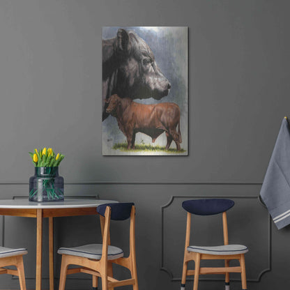 Luxe Metal Art 'Angus Cattle' by Barbara Keith, Metal Wall Art,24x36