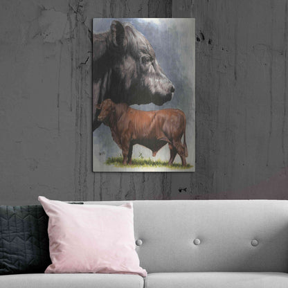 Luxe Metal Art 'Angus Cattle' by Barbara Keith, Metal Wall Art,24x36